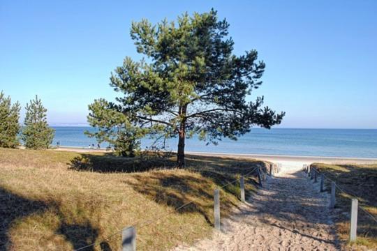 Strandvilla Aegir Mit Ostseeblick Остзебад Бинц Екстериор снимка